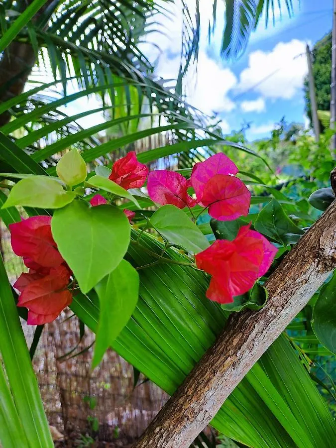 Holiday home Yuka Lodge - Bungalow Prive Avec Jardin En Pleine Nature Sainte-Anne
