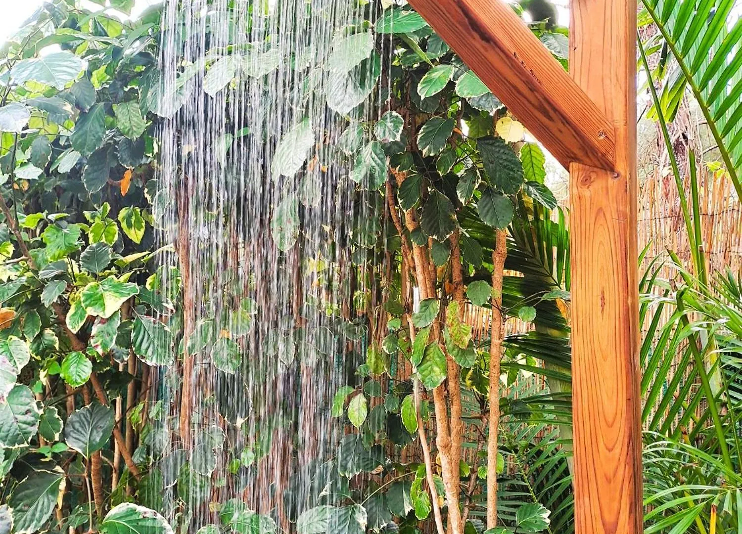 Holiday home Yuka Lodge - Bungalow Prive Avec Jardin En Pleine Nature Sainte-Anne  Guadeloupe